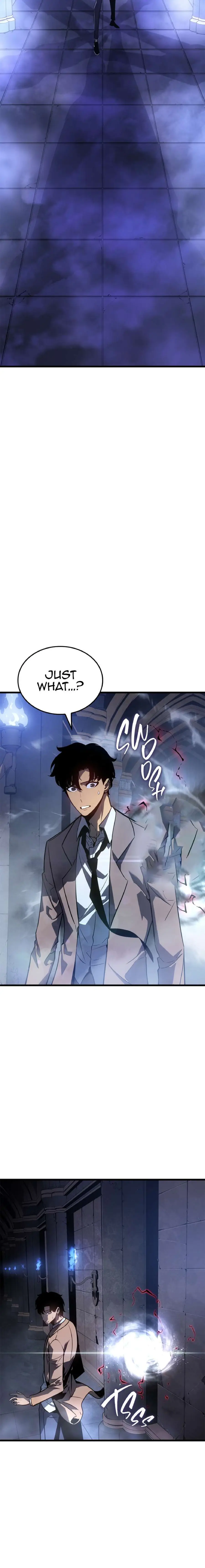 Solo Leveling Chapter 193 Page 16