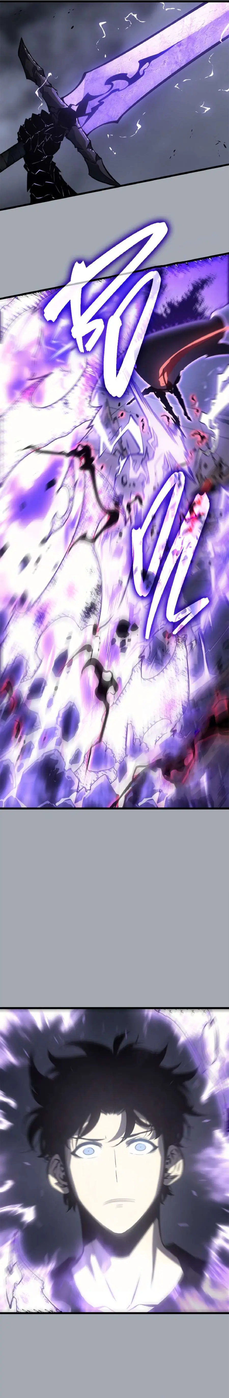 Solo Leveling Chapter 195 Page 14